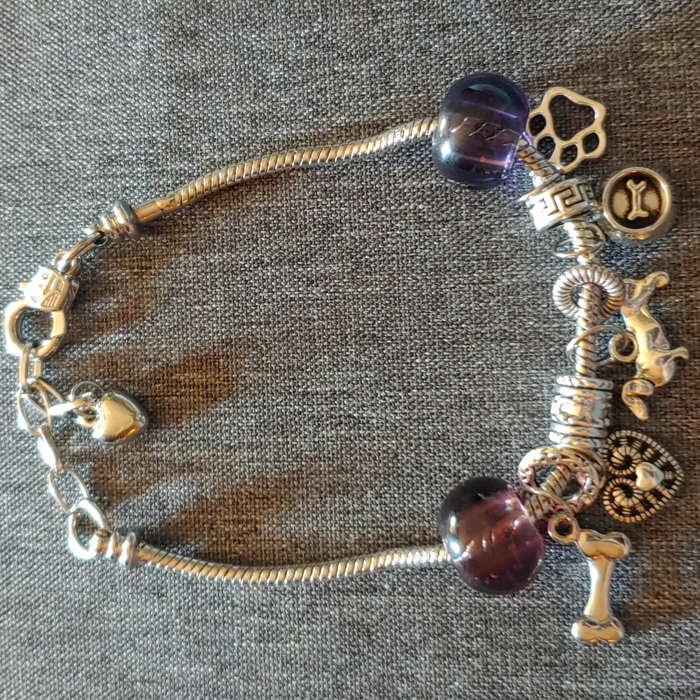 NWOT Dachusand Charm Bracelet